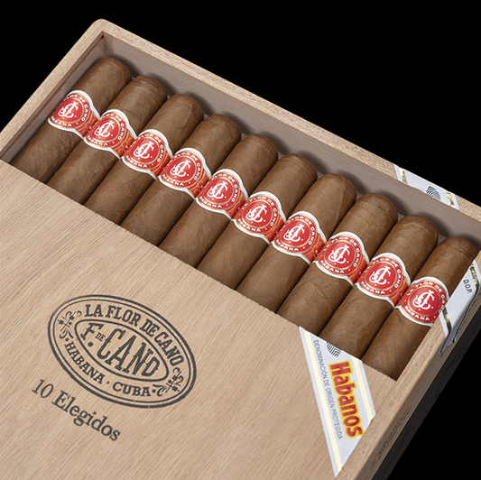 caja de 10 puros panama