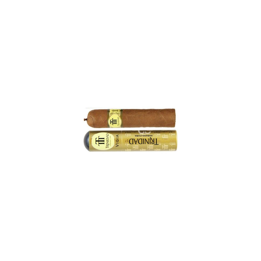 trinidad vigia en panama